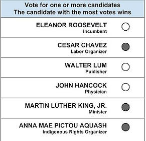 approval_voting_ballot_roosevelt_chavez