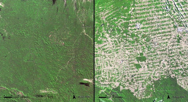 Rondônia in the Brazilian Amazon. Left June 1975, Right August 2009 // Credit: United Nations Environment Programme (UNEP). From Latin America and the Caribbean Atlas of our Changing Environment (2010)