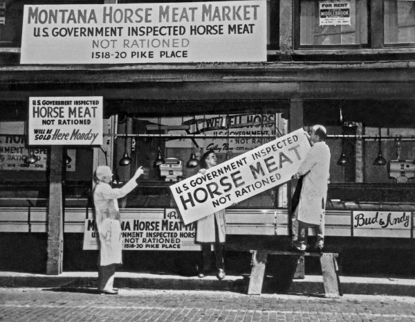 Horse meat in the US