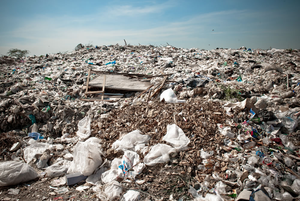 Nationwide Trend Moves Towards Plastic Bag Bans