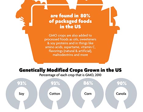 GMO Labeling Infograph