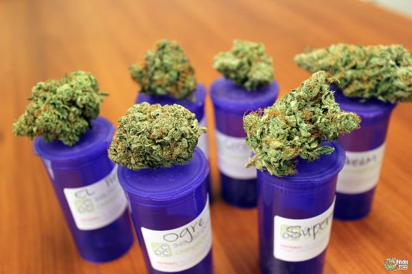 Legalize Marijuana, Colorado, Washington, and Oregon 