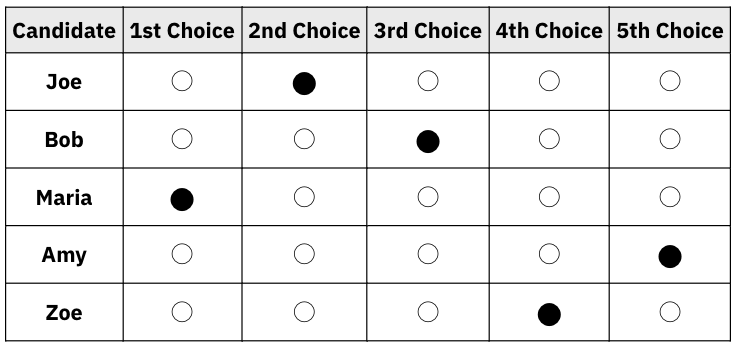 Example of a ranked choice ballot. Image provided by Robbie Robinette.